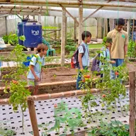 Fieldtrip dan Overplanting Sekolah Murid Merdeka (SMM) di KPTT Salatiga