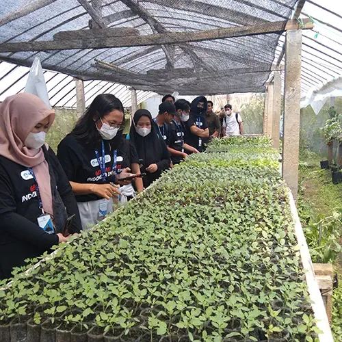 kursus Big Thumbnail